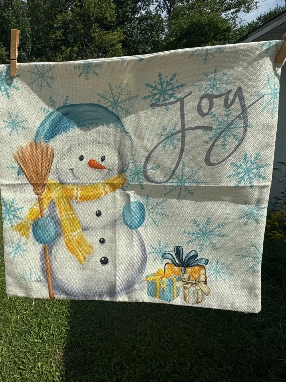 Set of 2. Winter Wishes and Joy pillow covers.